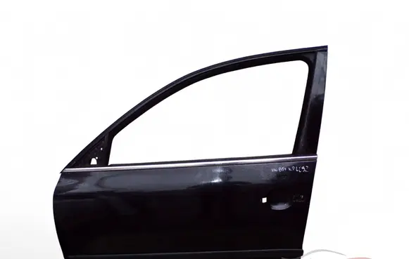 Volkswagen PASSAT B5.5 Front door
