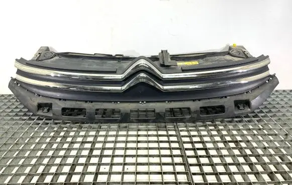 Citroen C3 Front grill 9812063477