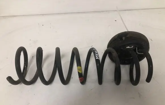 Ford Focus Rear coil spring
