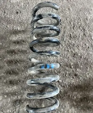 Rear coil spring