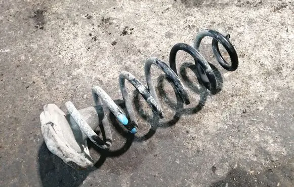 Renault Talisman Rear coil spring 
