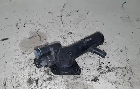 Thermostat/thermostat housing