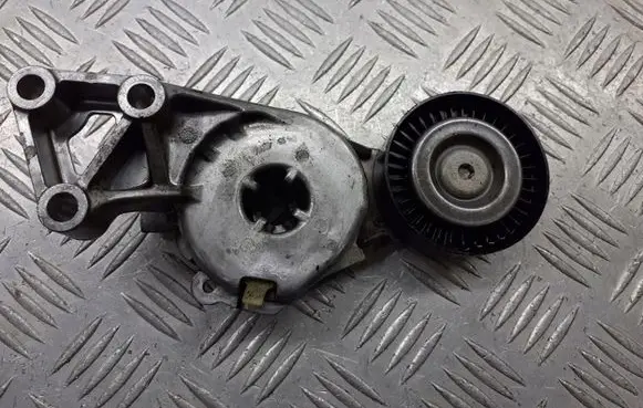 Seat Toledo II (1M) Alternator belt tensioner pulley 