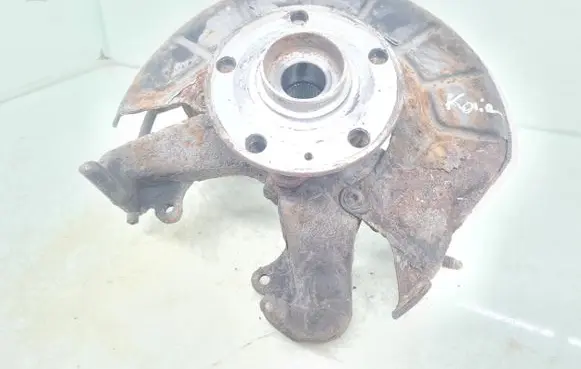 Volkswagen Golf Plus Front wheel hub spindle knuckle