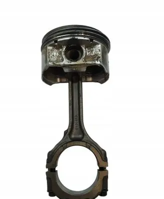 Renault Vel Satis Piston with connecting rod