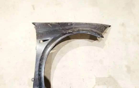 Renault Megane II Fender 