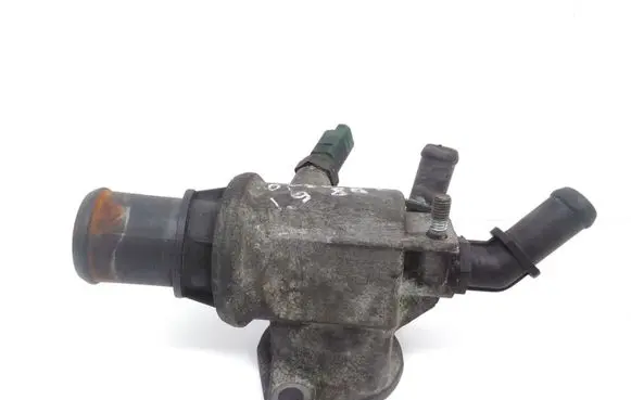 Thermostat/thermostat housing