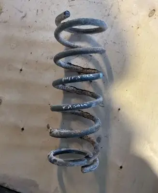 Nissan Pathfinder R51 Rear coil spring