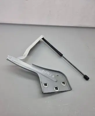 Jaguar F-Pace Engine bonnet/hood hinges HK8316801