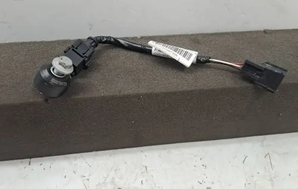 Dacia Sandero III Detonation knock sensor 8200789728 P242599736R