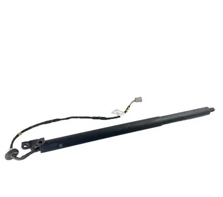 Ford Escape IV Tailgate/trunk strut/damper LJ6BS402A55AB