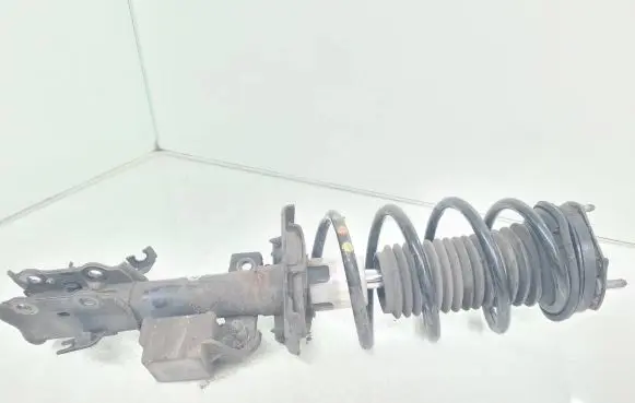Front shock absorber with coil spring