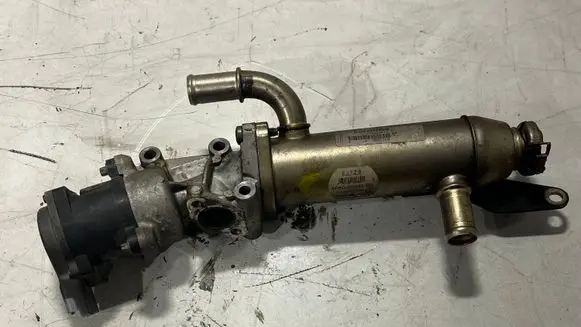 Jaguar XF X250 EGR valve cooler