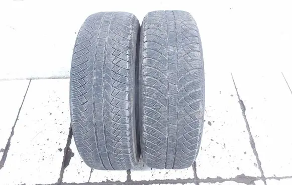 Renault Scenic I R15 winter tire 19565r15 Sunny Wintermaxu1