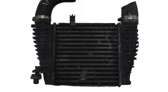 Nissan Juke I F15 Intercooler radiator 14461EM00A