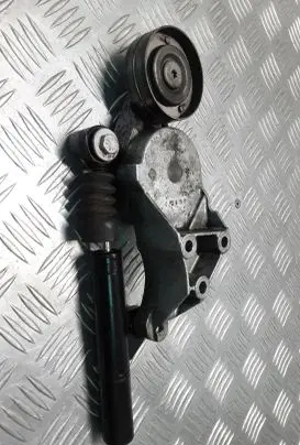 Skoda Octavia Mk1 (1U) Timing belt/chain tensioner 237632