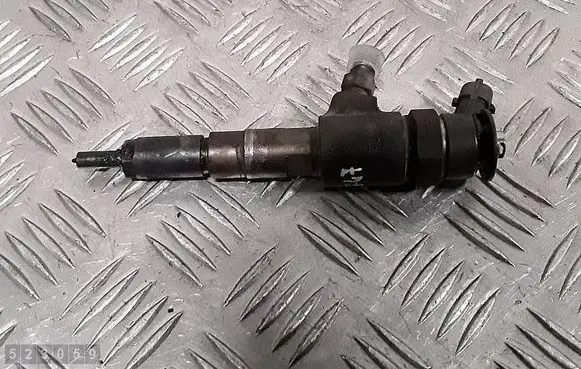 Citroen C3 Pluriel Fuel injector 0445110252