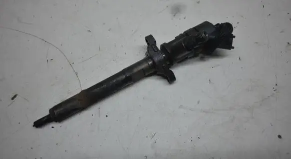 Citroen C4 I Fuel injector 0445110281