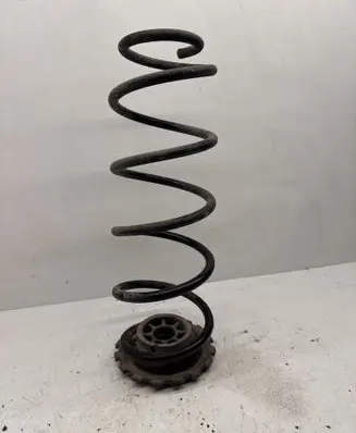 Rear coil spring