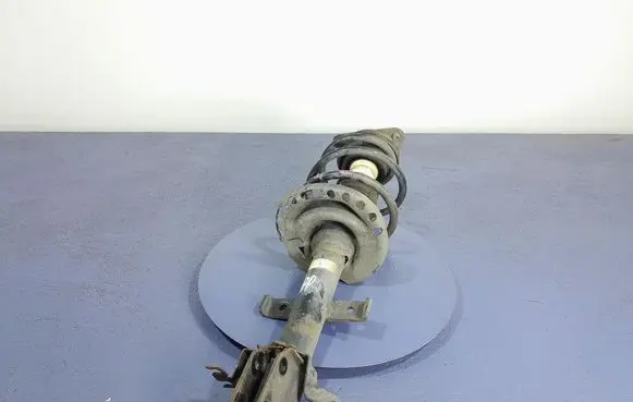 Renault Captur Front shock absorber/damper 543020638R