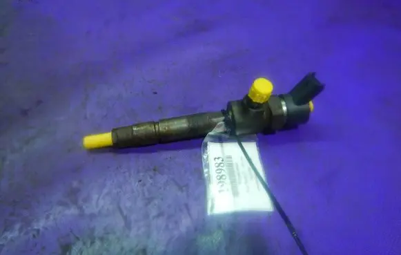 Fiat Punto (188) Fuel injector 0445110119