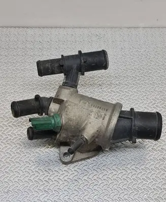 Thermostat/thermostat housing