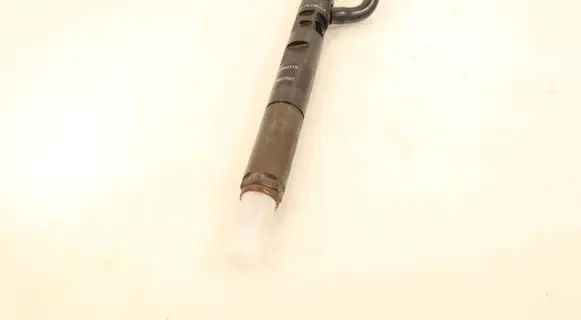 Renault Fluence Fuel injector H8200827965