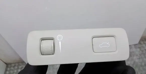 Volvo S90, V90 Tailgate opening switch 31394548