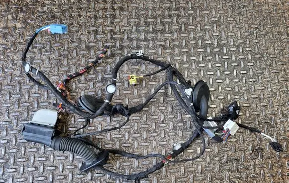 Audi Q5 SQ5 Front door wiring loom 80A971030E