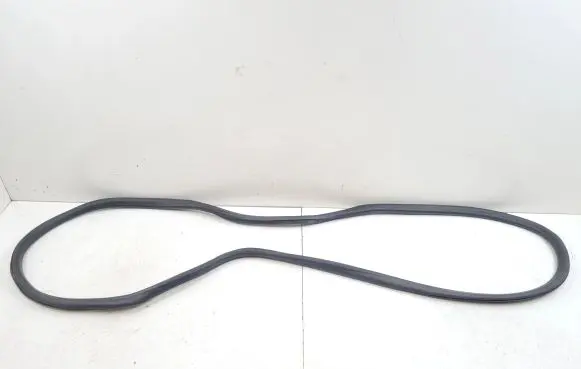 Opel Insignia B Front door rubber seal