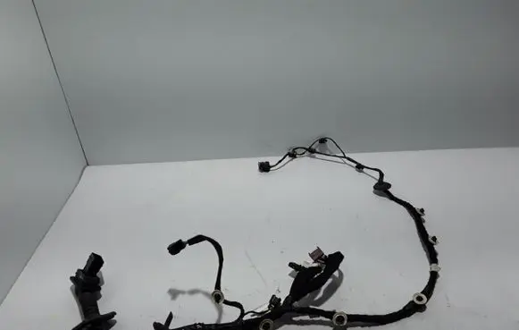 Dacia Sandero III Other wiring loom 241257506R