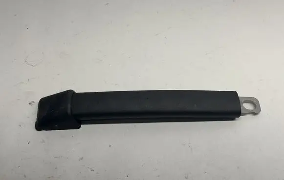 Chrysler Pacifica Rear interior roof grab handle TL828708 VL9987