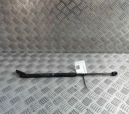 Nissan 370Z Tailgate/trunk strut/damper 904531EA1C