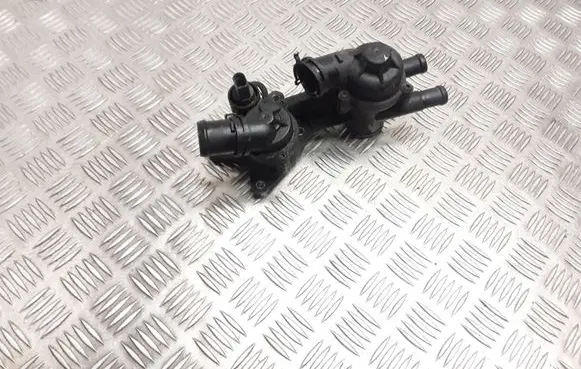 Thermostat/thermostat housing
