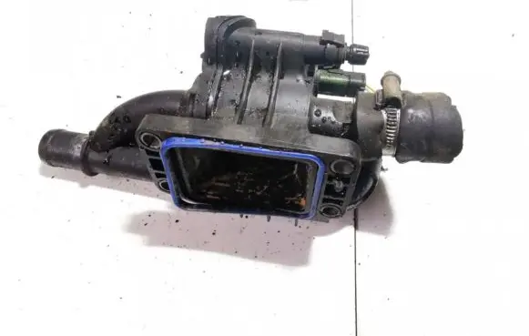 Peugeot Partner Engine coolant pipe/hose 9660660380