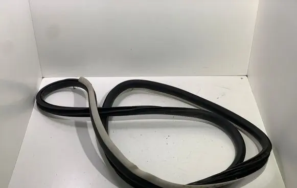 Renault Espace V (RFC) Front door rubber seal 