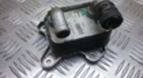 Oil filter mounting bracket