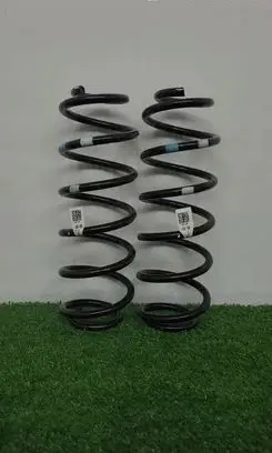 KIA Stonic Rear coil spring 55335h8fc0