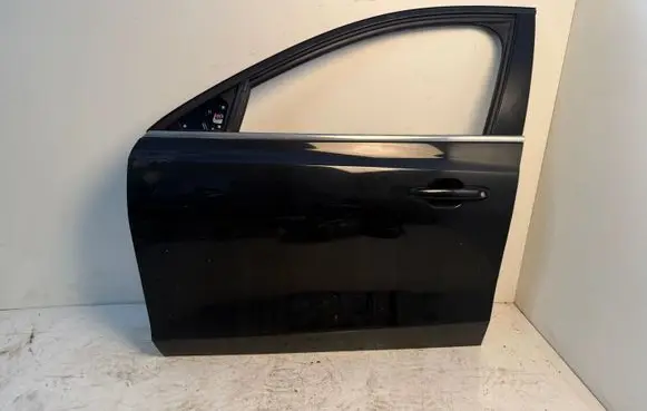 Ford Focus Front door 