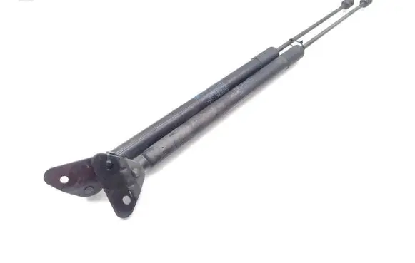 BMW X1 E84 Tailgate/trunk strut/damper 2990136 51242990136-03 753334