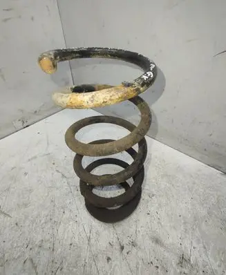 Volkswagen PASSAT B5.5 Rear coil spring 