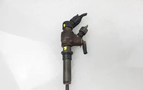Peugeot Partner Fuel injector 9636819380