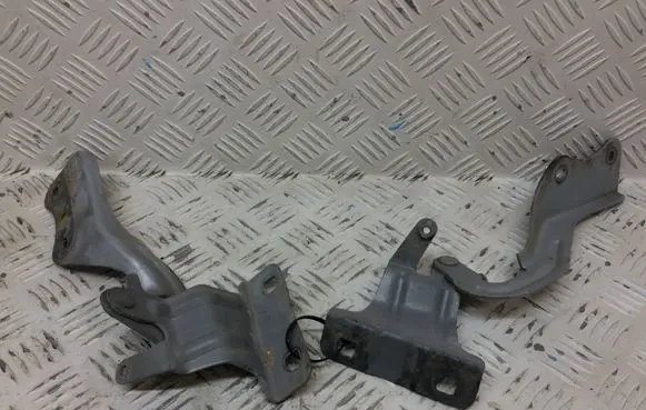 Nissan X-Trail T31 Engine bonnet/hood hinges