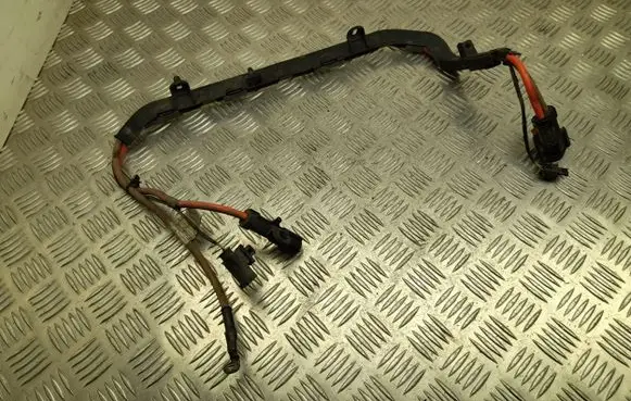 BMW X2 F39 Other wiring loom 8795889