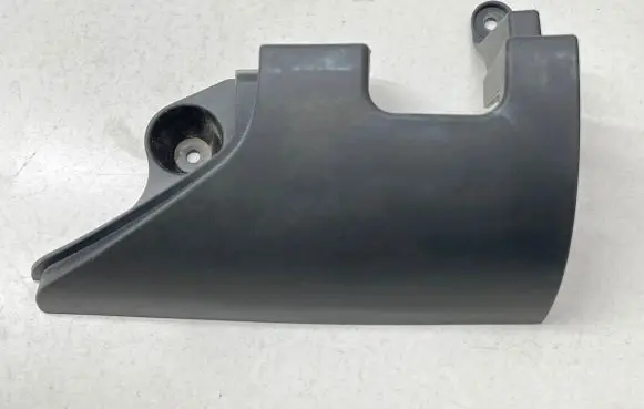 Rear/tail light trim molding