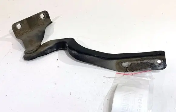 Nissan Qashqai Engine bonnet/hood hinges 
