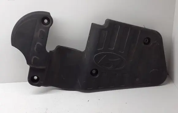 Hyundai ix 55 Engine cover (trim) 213803A050