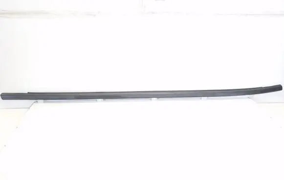 Honda Civic IX Front door glass trim molding