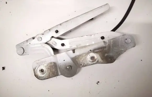 Ford C-MAX II Engine bonnet/hood hinges am5116800agrh