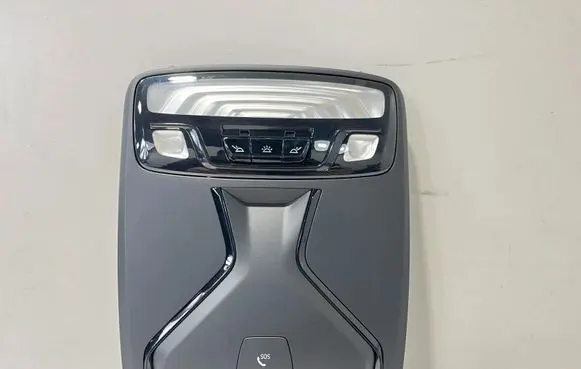 BMW 3 G20 G21 Front seat light 6829010